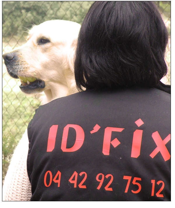 photo d'un chien visité à domicile par accompagnant de l'équipe IDFIX
